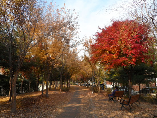 메인사진