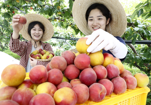 메인사진