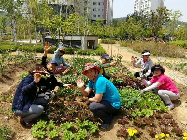 메인사진