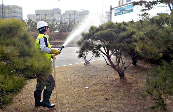 메인사진