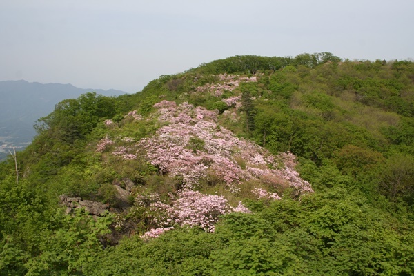 메인사진