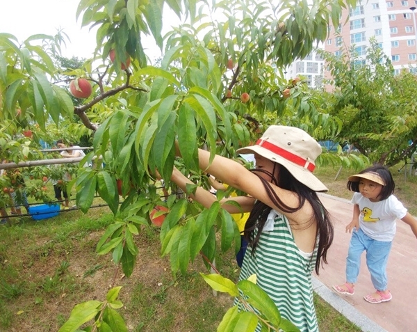 메인사진