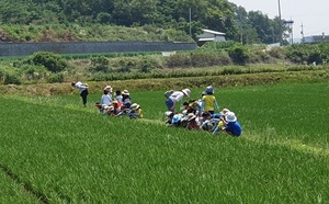 메인사진