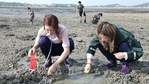 메인사진