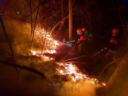 메인사진