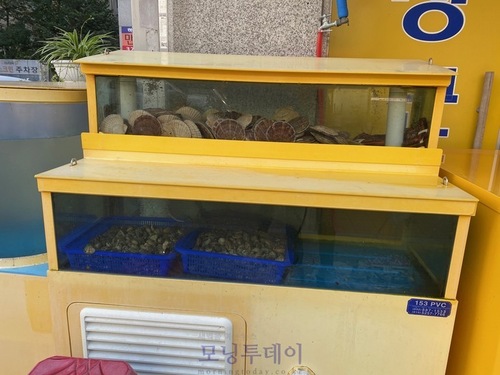 메인사진