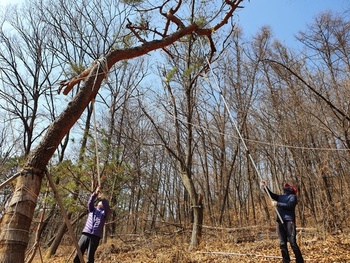 메인사진