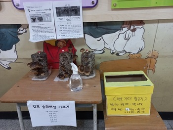 메인사진