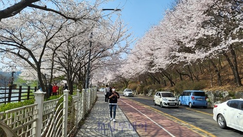 메인사진