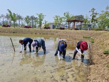 메인사진