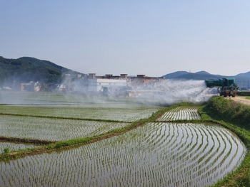 메인사진