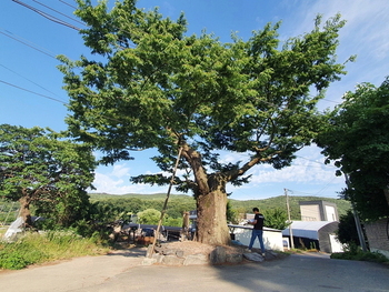 메인사진