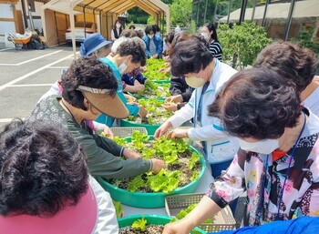 메인사진