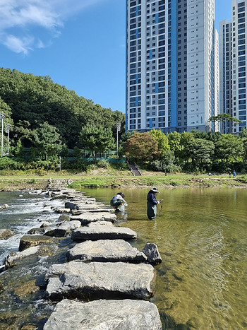 메인사진