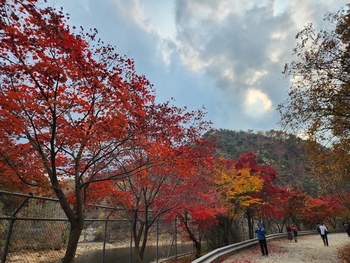 메인사진