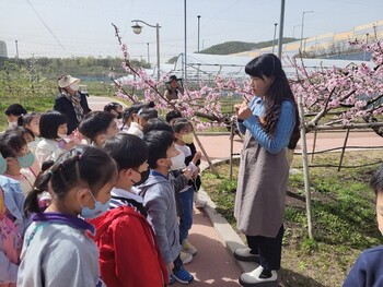 메인사진