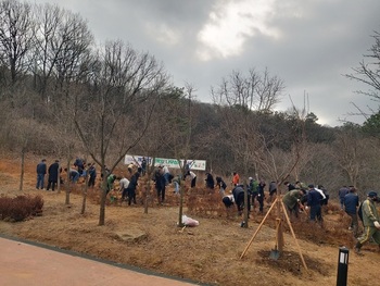 메인사진