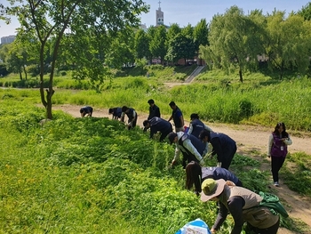 메인사진